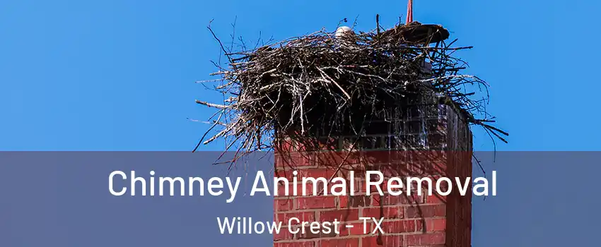 Chimney Animal Removal Willow Crest - TX