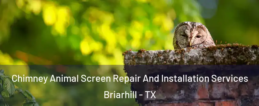 Chimney Animal Screen Repair And Installation Services Briarhill - TX