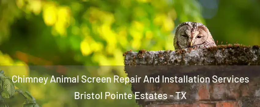 Chimney Animal Screen Repair And Installation Services Bristol Pointe Estates - TX