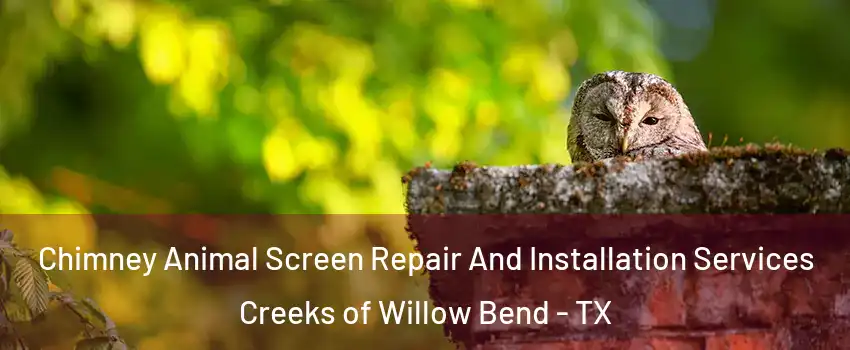 Chimney Animal Screen Repair And Installation Services Creeks of Willow Bend - TX