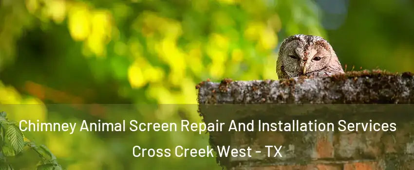 Chimney Animal Screen Repair And Installation Services Cross Creek West - TX