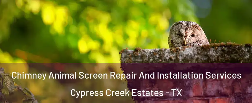 Chimney Animal Screen Repair And Installation Services Cypress Creek Estates - TX