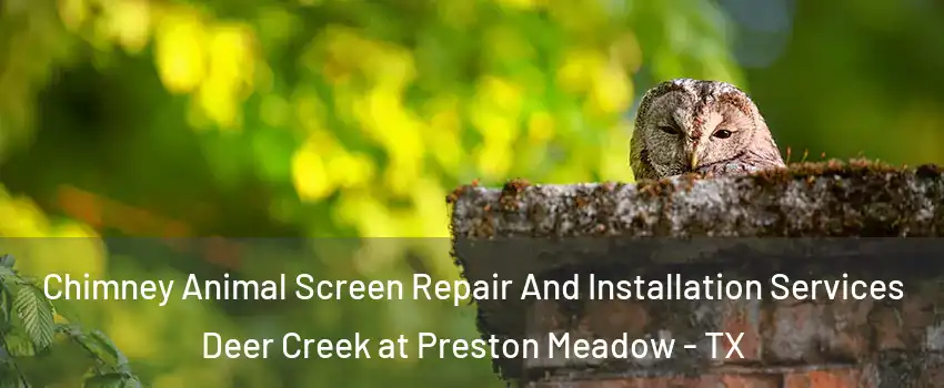 Chimney Animal Screen Repair And Installation Services Deer Creek at Preston Meadow - TX