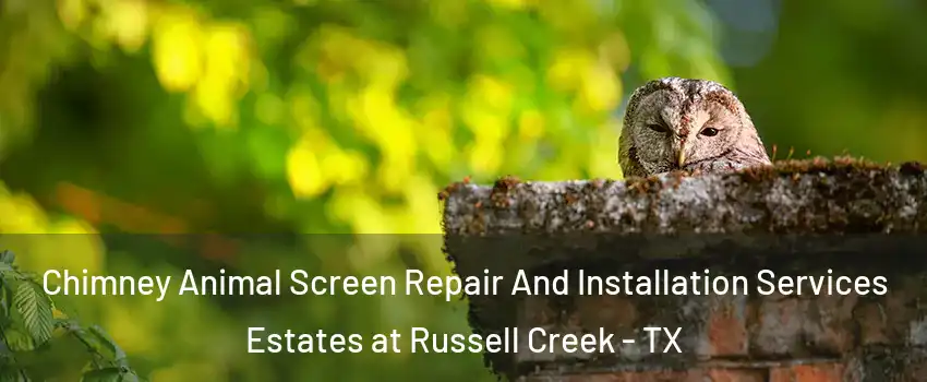 Chimney Animal Screen Repair And Installation Services Estates at Russell Creek - TX