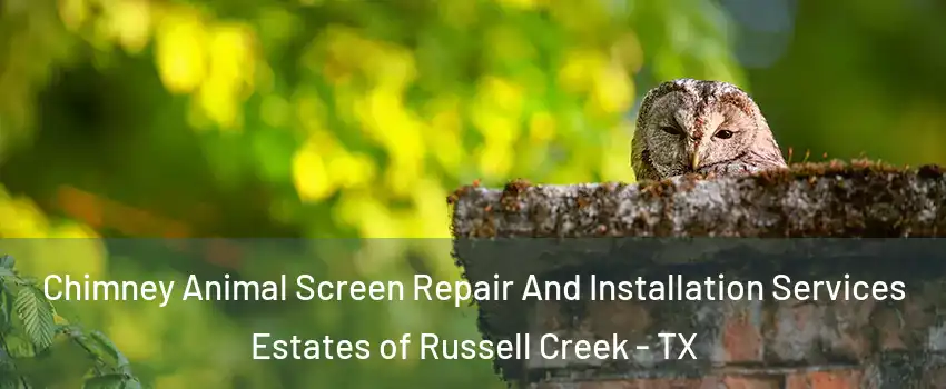 Chimney Animal Screen Repair And Installation Services Estates of Russell Creek - TX