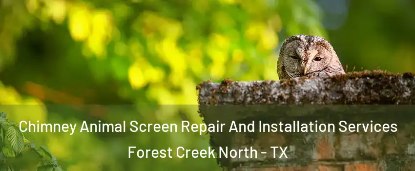 Chimney Animal Screen Repair And Installation Services Forest Creek North - TX