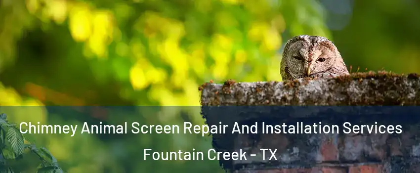 Chimney Animal Screen Repair And Installation Services Fountain Creek - TX