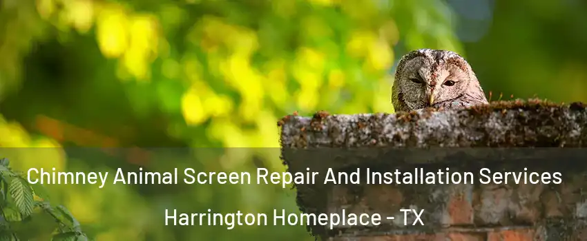 Chimney Animal Screen Repair And Installation Services Harrington Homeplace - TX