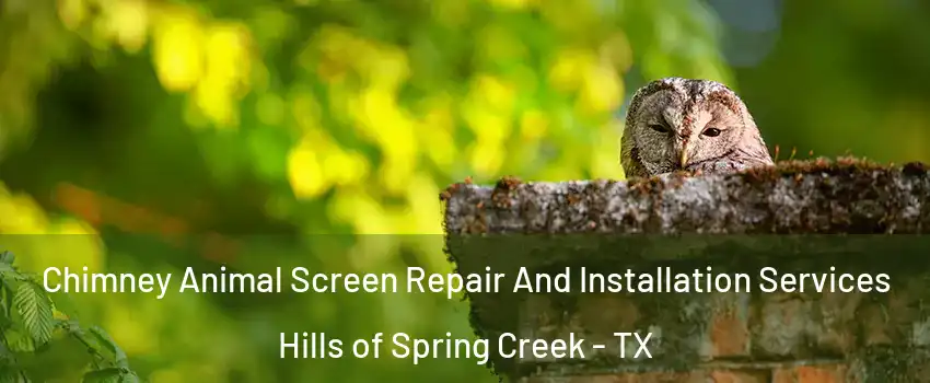 Chimney Animal Screen Repair And Installation Services Hills of Spring Creek - TX