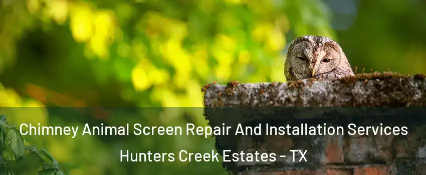Chimney Animal Screen Repair And Installation Services Hunters Creek Estates - TX