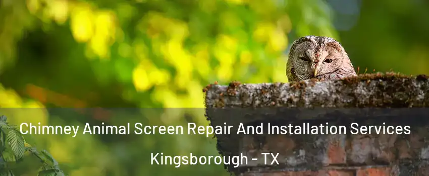 Chimney Animal Screen Repair And Installation Services Kingsborough - TX