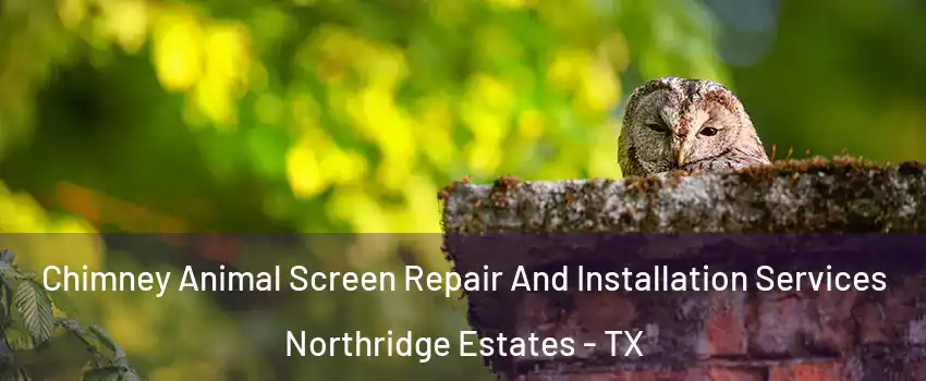 Chimney Animal Screen Repair And Installation Services Northridge Estates - TX