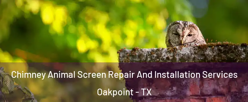 Chimney Animal Screen Repair And Installation Services Oakpoint - TX