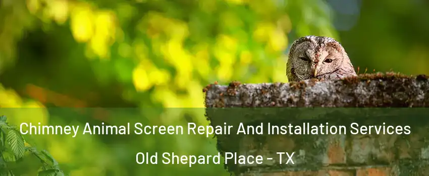 Chimney Animal Screen Repair And Installation Services Old Shepard Place - TX