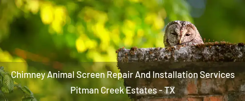 Chimney Animal Screen Repair And Installation Services Pitman Creek Estates - TX