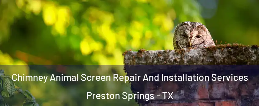 Chimney Animal Screen Repair And Installation Services Preston Springs - TX