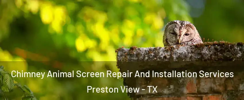 Chimney Animal Screen Repair And Installation Services Preston View - TX