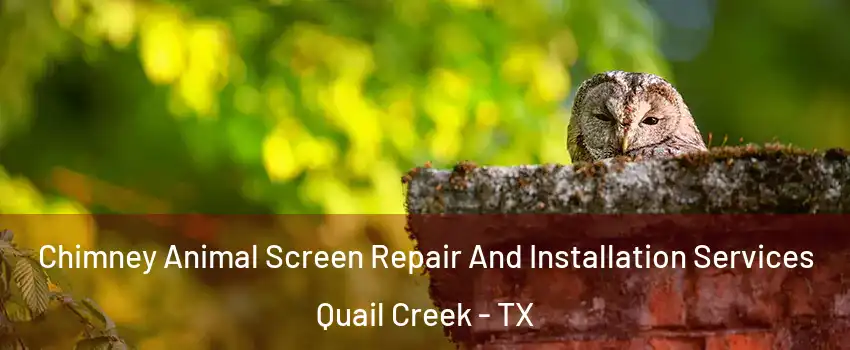 Chimney Animal Screen Repair And Installation Services Quail Creek - TX