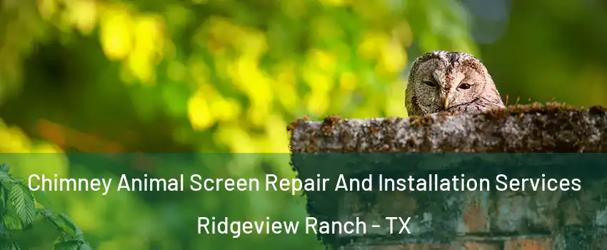 Chimney Animal Screen Repair And Installation Services Ridgeview Ranch - TX