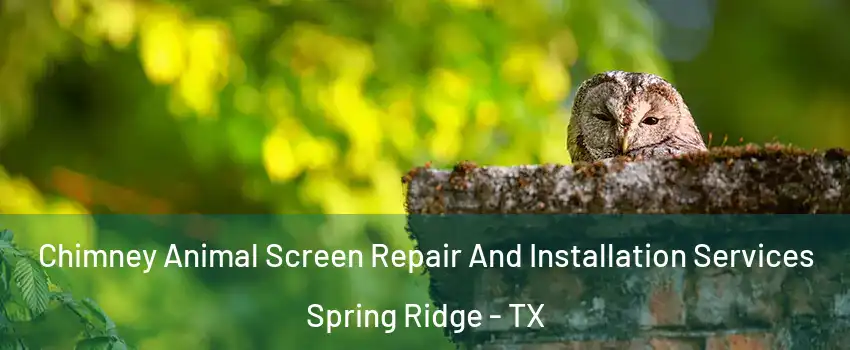Chimney Animal Screen Repair And Installation Services Spring Ridge - TX