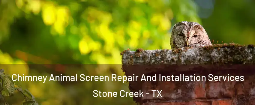 Chimney Animal Screen Repair And Installation Services Stone Creek - TX