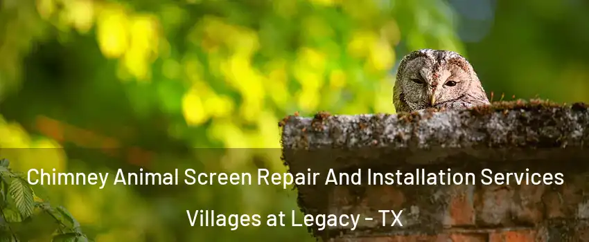 Chimney Animal Screen Repair And Installation Services Villages at Legacy - TX