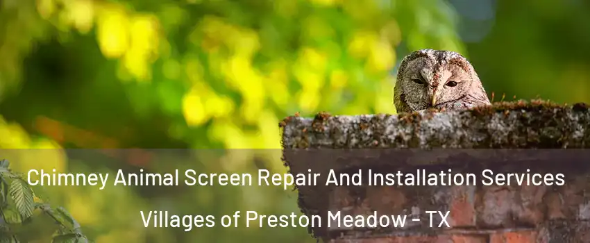 Chimney Animal Screen Repair And Installation Services Villages of Preston Meadow - TX