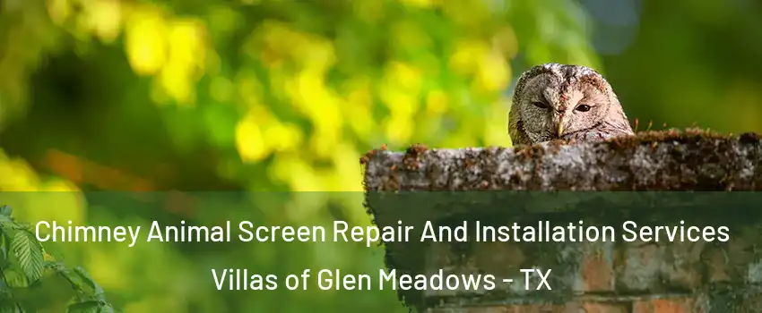 Chimney Animal Screen Repair And Installation Services Villas of Glen Meadows - TX