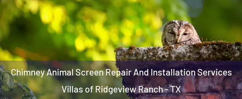 Chimney Animal Screen Repair And Installation Services Villas of Ridgeview Ranch - TX