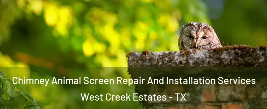 Chimney Animal Screen Repair And Installation Services West Creek Estates - TX