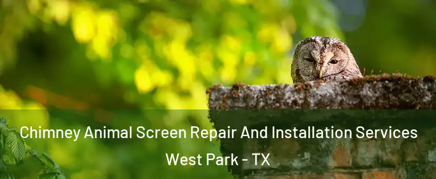 Chimney Animal Screen Repair And Installation Services West Park - TX
