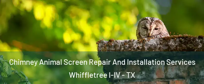 Chimney Animal Screen Repair And Installation Services Whiffletree I-IV - TX