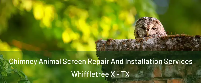 Chimney Animal Screen Repair And Installation Services Whiffletree X - TX