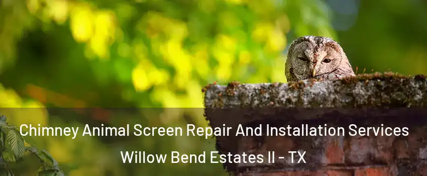 Chimney Animal Screen Repair And Installation Services Willow Bend Estates II - TX