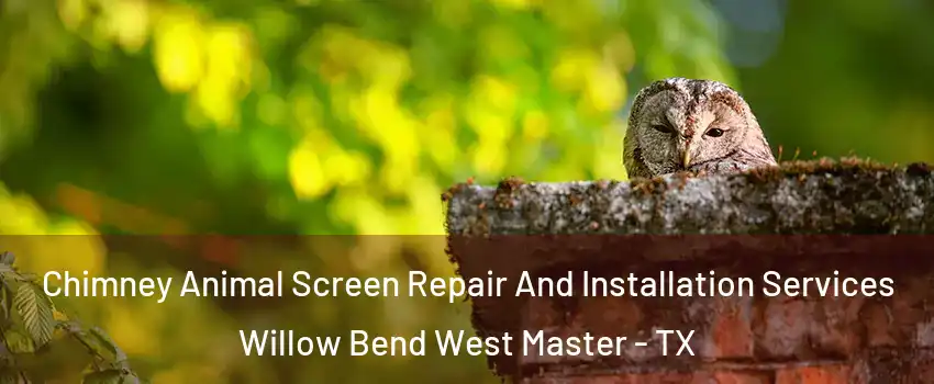 Chimney Animal Screen Repair And Installation Services Willow Bend West Master - TX