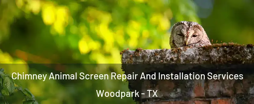 Chimney Animal Screen Repair And Installation Services Woodpark - TX