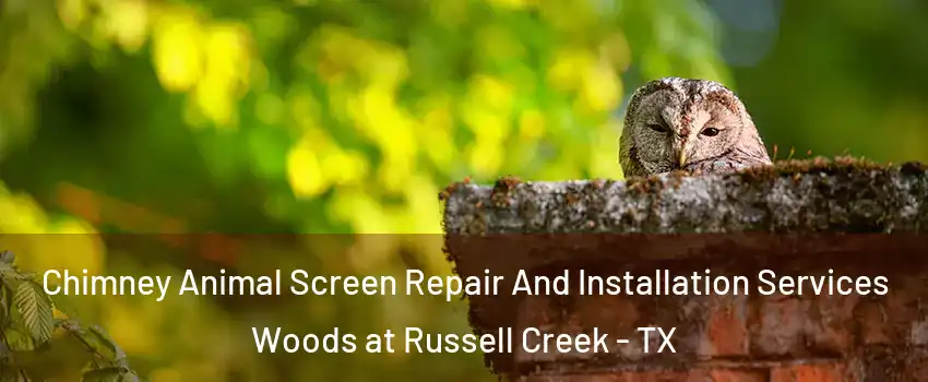 Chimney Animal Screen Repair And Installation Services Woods at Russell Creek - TX