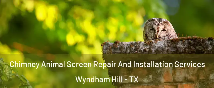 Chimney Animal Screen Repair And Installation Services Wyndham Hill - TX