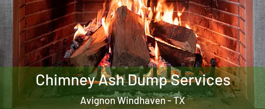 Chimney Ash Dump Services Avignon Windhaven - TX