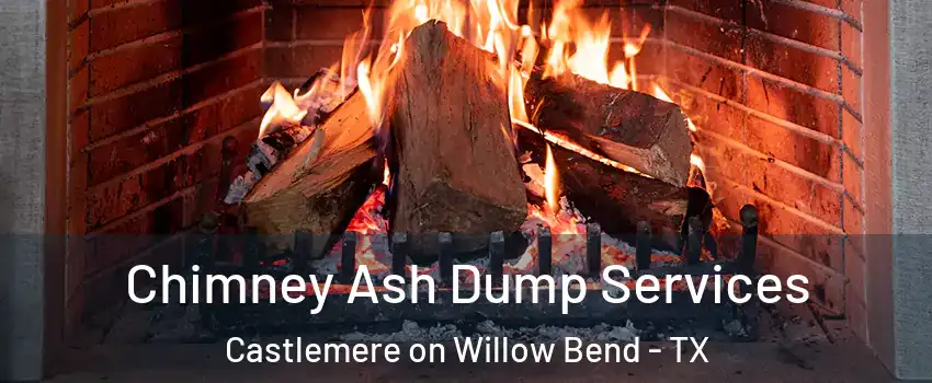 Chimney Ash Dump Services Castlemere on Willow Bend - TX