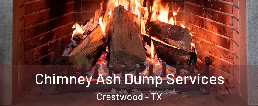 Chimney Ash Dump Services Crestwood - TX