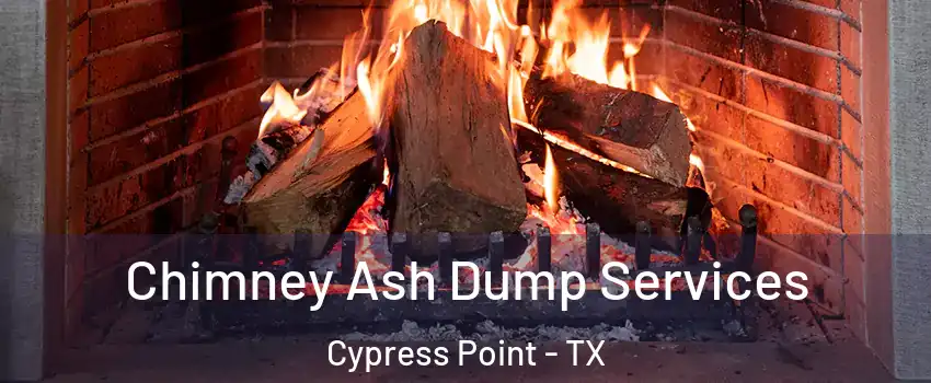 Chimney Ash Dump Services Cypress Point - TX