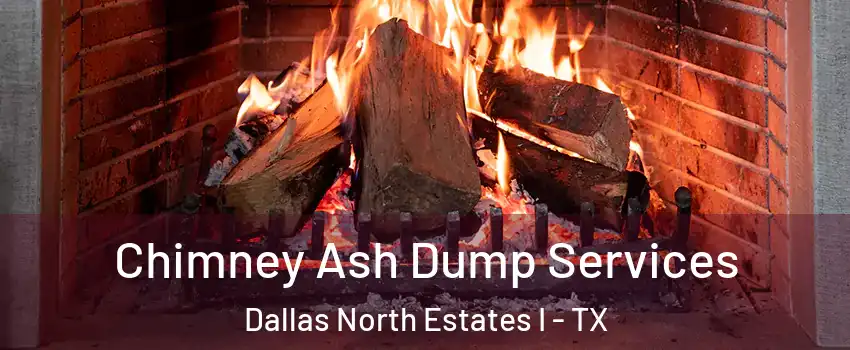 Chimney Ash Dump Services Dallas North Estates I - TX