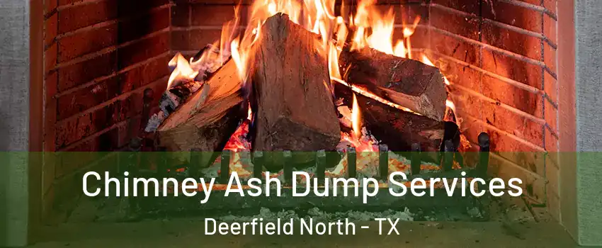 Chimney Ash Dump Services Deerfield North - TX