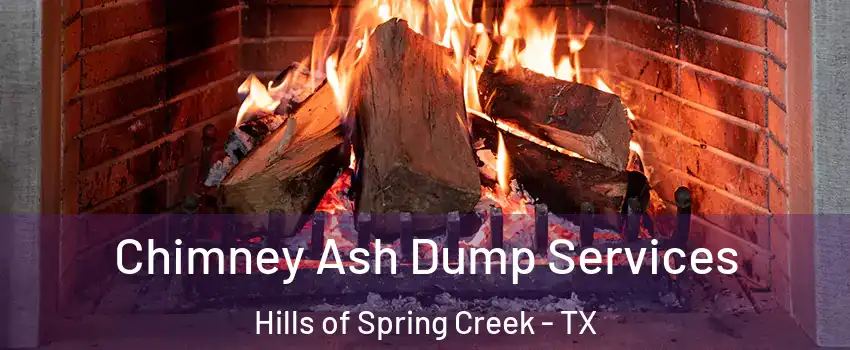 Chimney Ash Dump Services Hills of Spring Creek - TX
