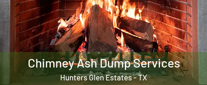 Chimney Ash Dump Services Hunters Glen Estates - TX