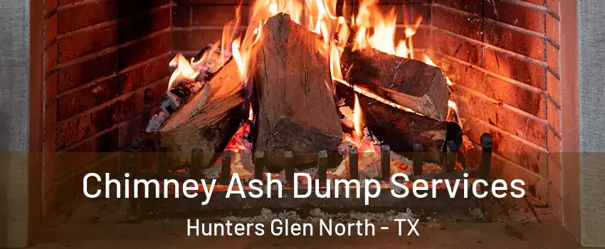 Chimney Ash Dump Services Hunters Glen North - TX