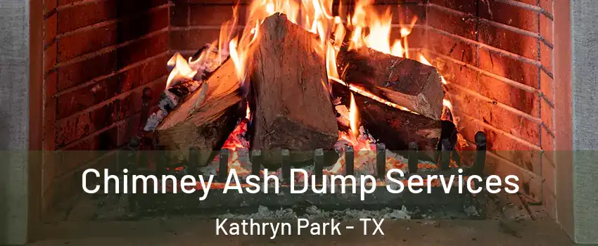 Chimney Ash Dump Services Kathryn Park - TX
