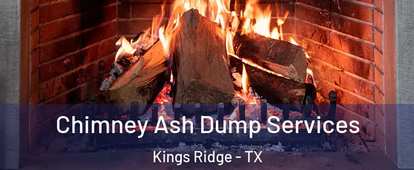 Chimney Ash Dump Services Kings Ridge - TX