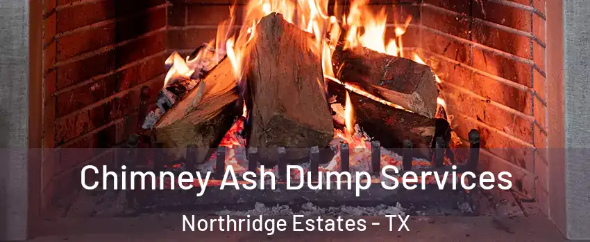 Chimney Ash Dump Services Northridge Estates - TX